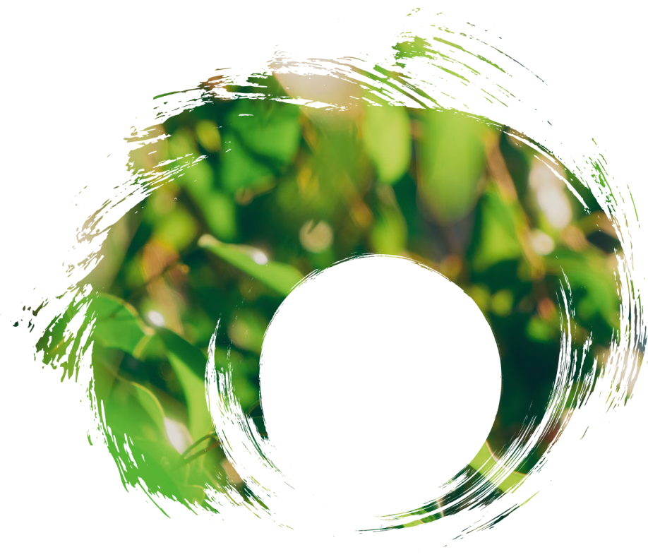 Vecna - Organic & Grocery Marketplace WordPress Theme